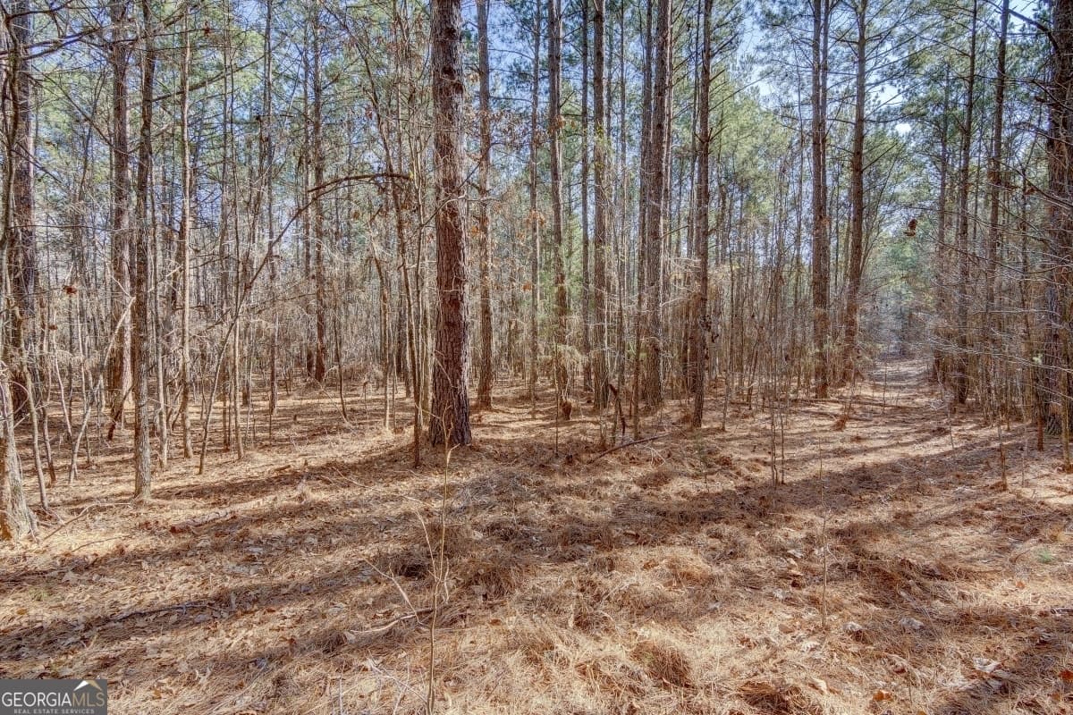 residential lot for sale at LOT 29 Benjamin Brown Court, Elberton, GA 30635 — photo 10
