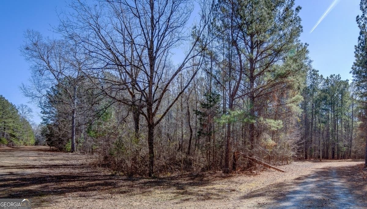 residential lot for sale at LOT 29 Benjamin Brown Court, Elberton, GA 30635 — photo 4