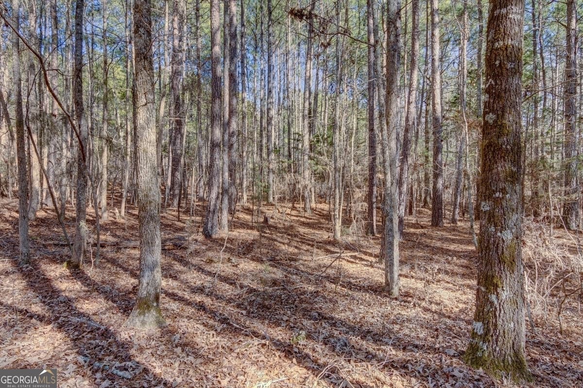 residential lot for sale at LOT 29 Benjamin Brown Court, Elberton, GA 30635 — photo 8