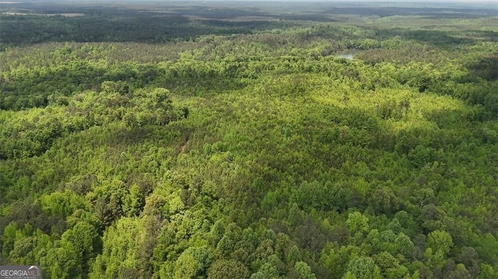 unimproved land for sale at 268 Ogletree Road, Greenville, GA 30222 — photo 6
