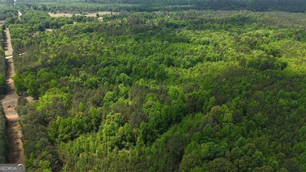 unimproved land for sale at 268 Ogletree Road, Greenville, GA 30222 — photo 7