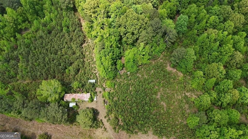 unimproved land for sale at 268 Ogletree Road, Greenville, GA 30222 — photo 5