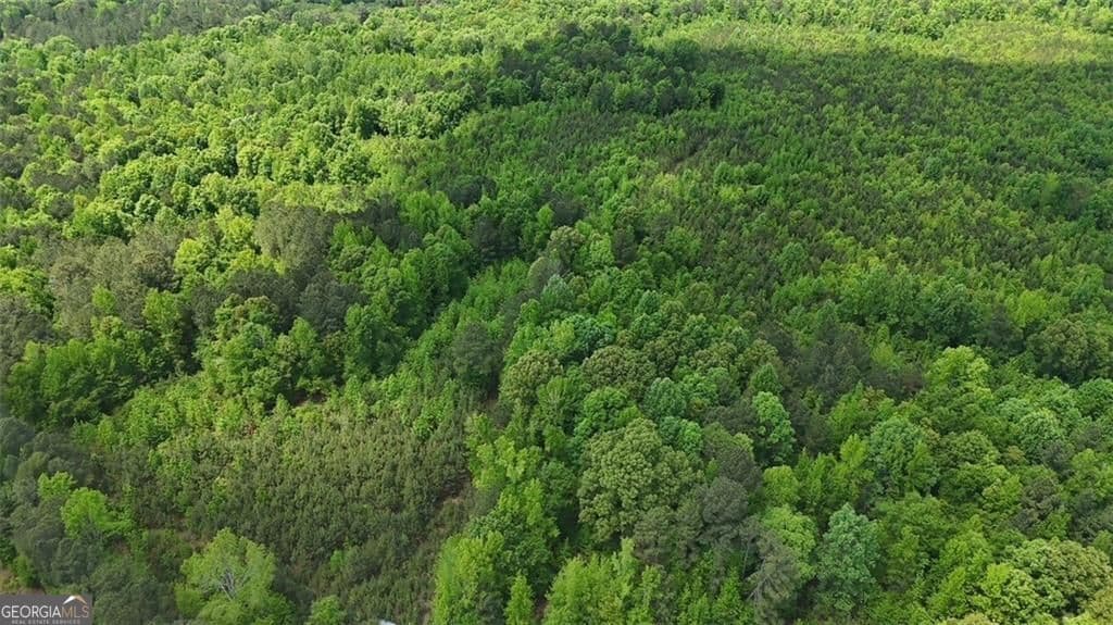 unimproved land for sale at 268 Ogletree Road, Greenville, GA 30222 — photo 9