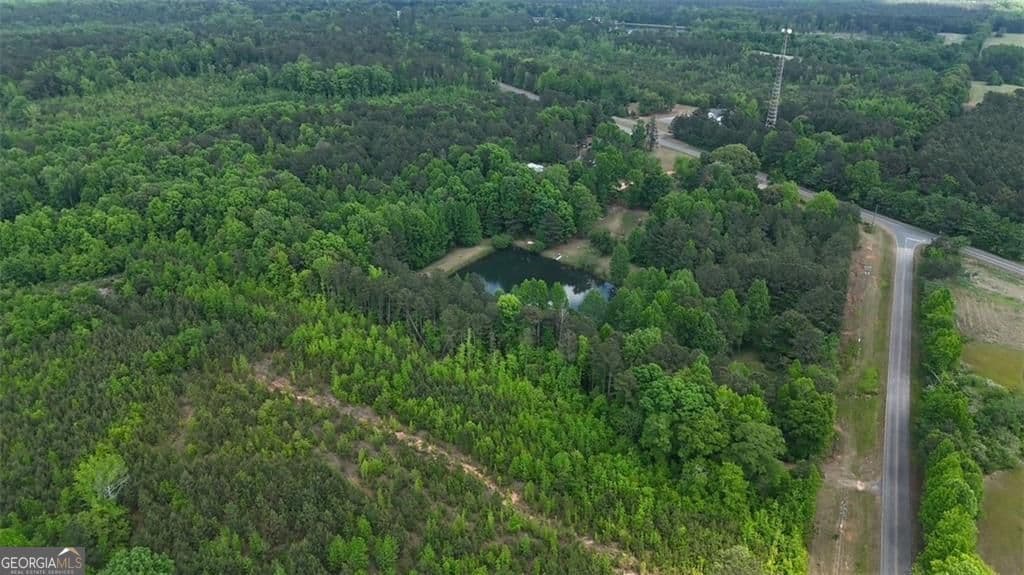 unimproved land for sale at 268 Ogletree Road, Greenville, GA 30222 — photo 4