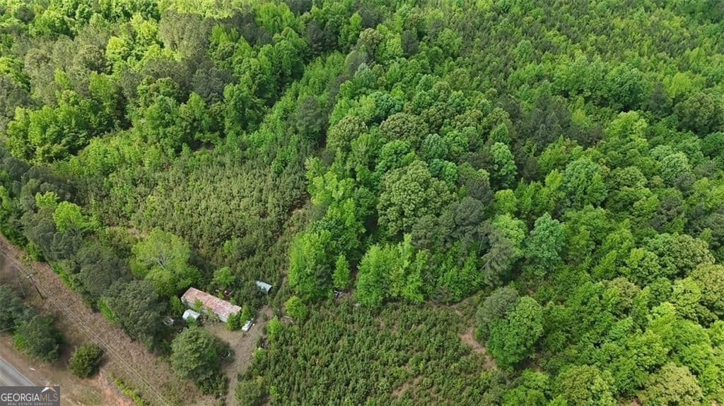 unimproved land for sale at 268 Ogletree Road, Greenville, GA 30222 — photo 8
