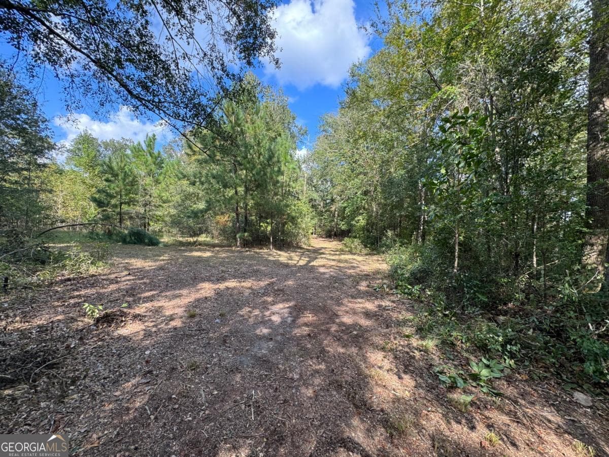residential lot for sale at 0 Golden Isles Highway, Lumber City, GA 31549 — photo 2