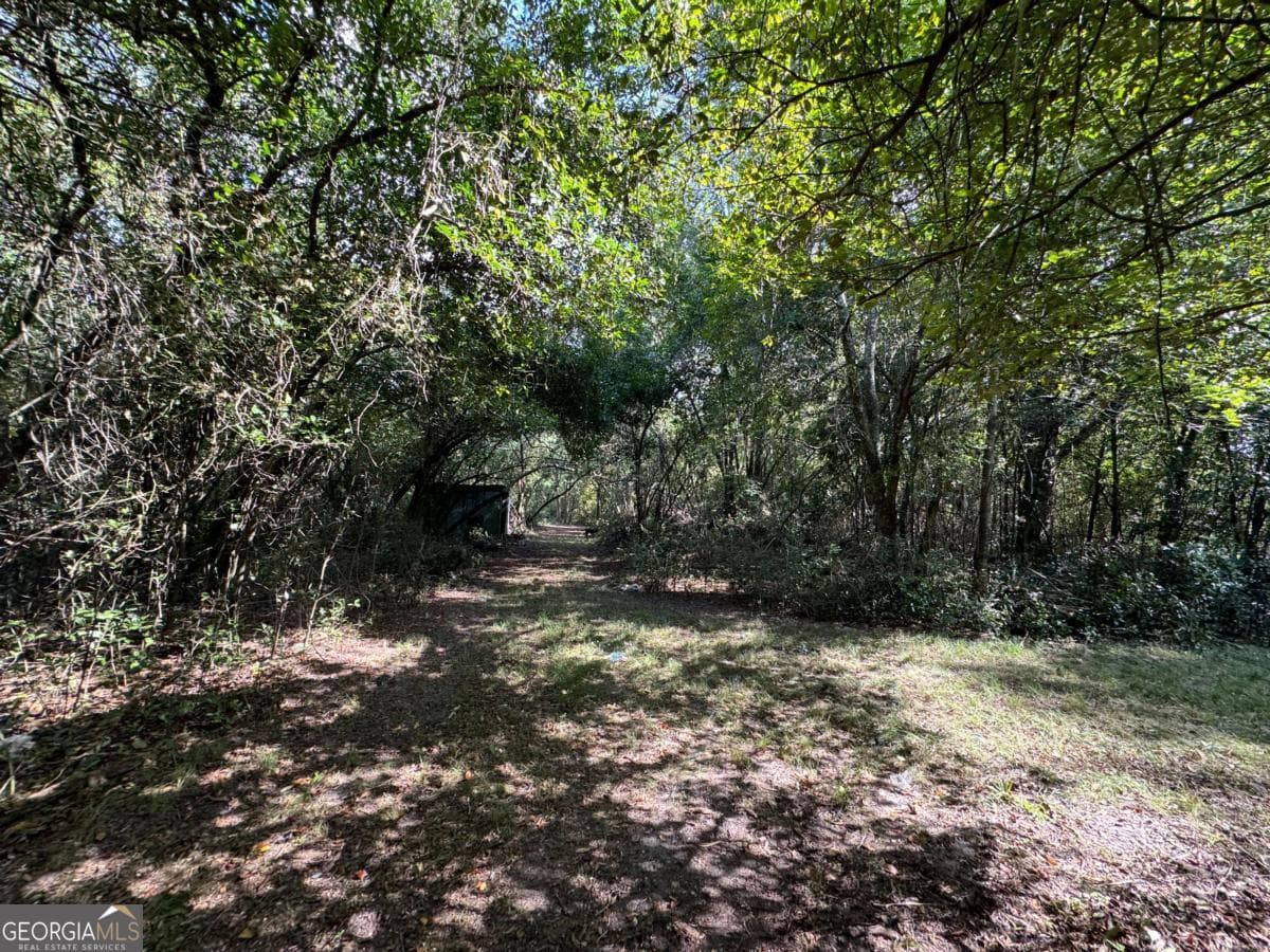 residential lot for sale at 0 Golden Isles Highway, Lumber City, GA 31549 — photo 6