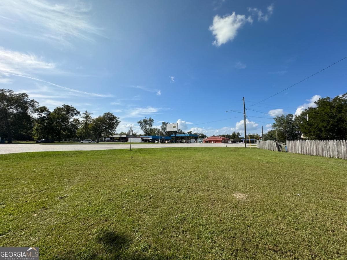 residential lot for sale at 0 Golden Isles Highway, Lumber City, GA 31549 — photo 3