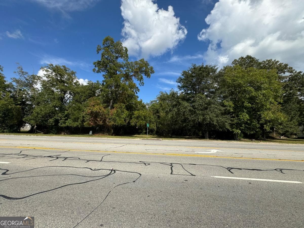 residential lot for sale at 0 Golden Isles Highway, Lumber City, GA 31549 — photo 1 of 15