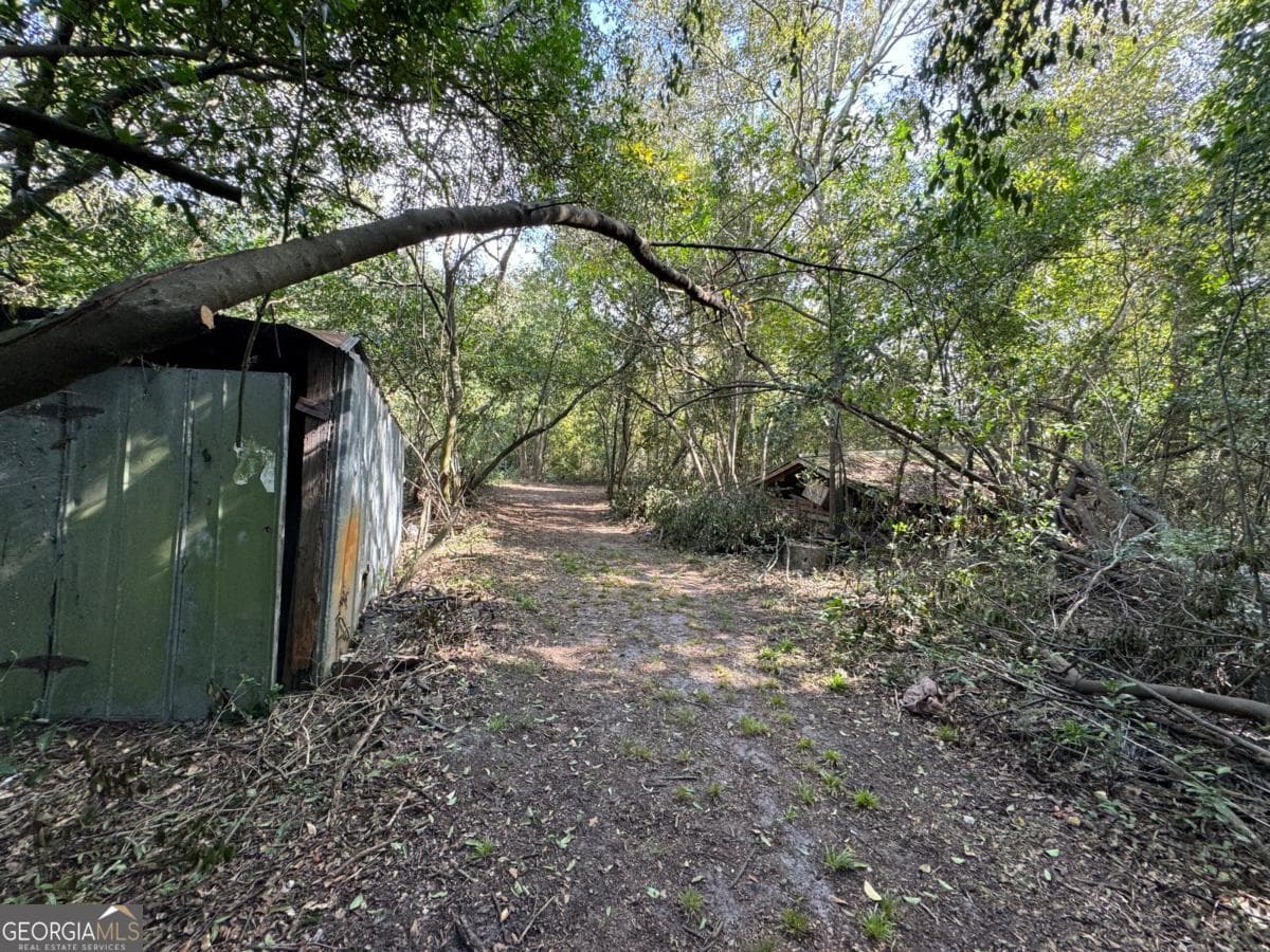 residential lot for sale at 0 Golden Isles Highway, Lumber City, GA 31549 — photo 5