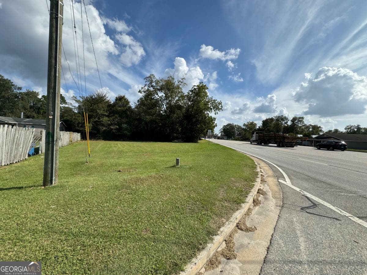 residential lot for sale at 0 Golden Isles Highway, Lumber City, GA 31549 — photo 9