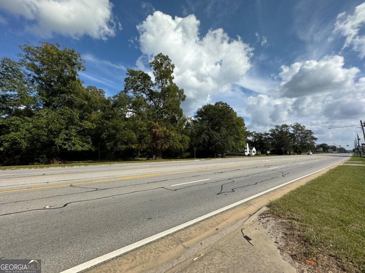 residential lot for sale at 0 Golden Isles Highway, Lumber City, GA 31549 — photo 10