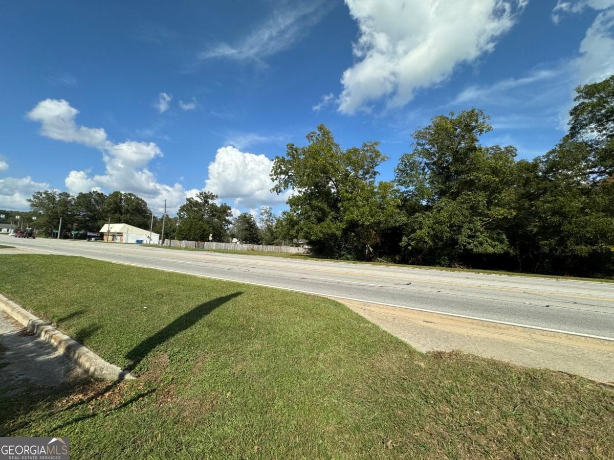 residential lot for sale at 0 Golden Isles Highway, Lumber City, GA 31549 — photo 4