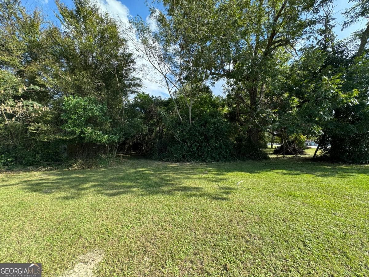 residential lot for sale at 0 Golden Isles Highway, Lumber City, GA 31549 — photo 8