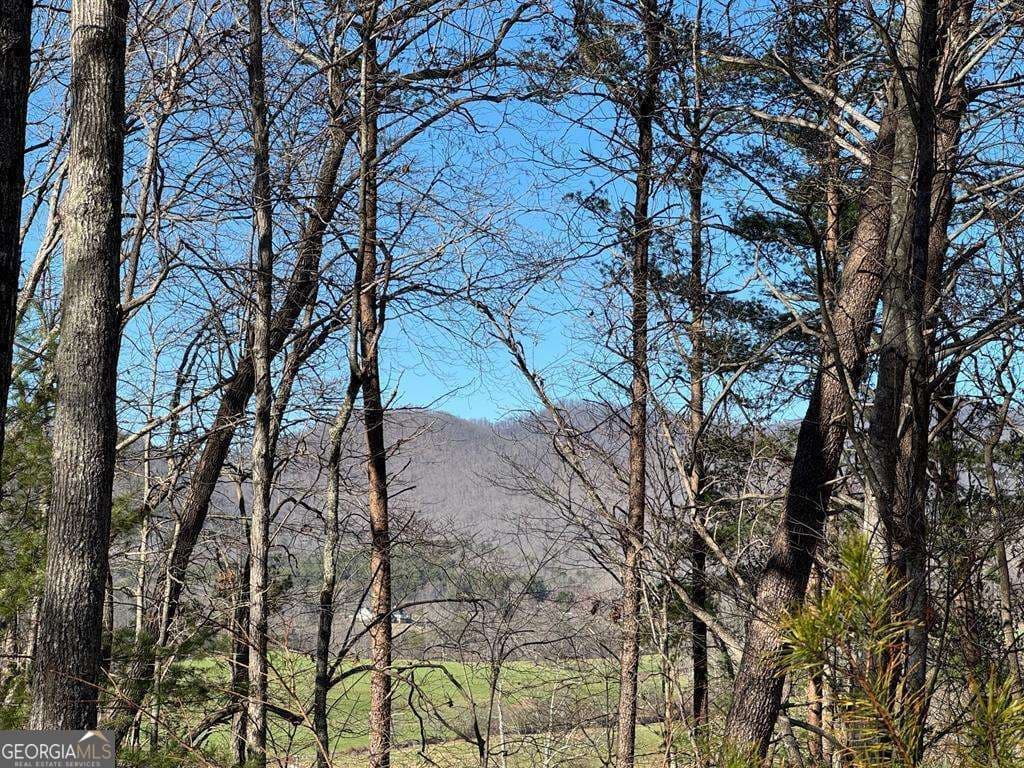 4 bedroom, 3 bathroom, 2,448 sq ft single family residence for sale at 74 Timber Lane, Blairsville, GA 30512 — photo 2