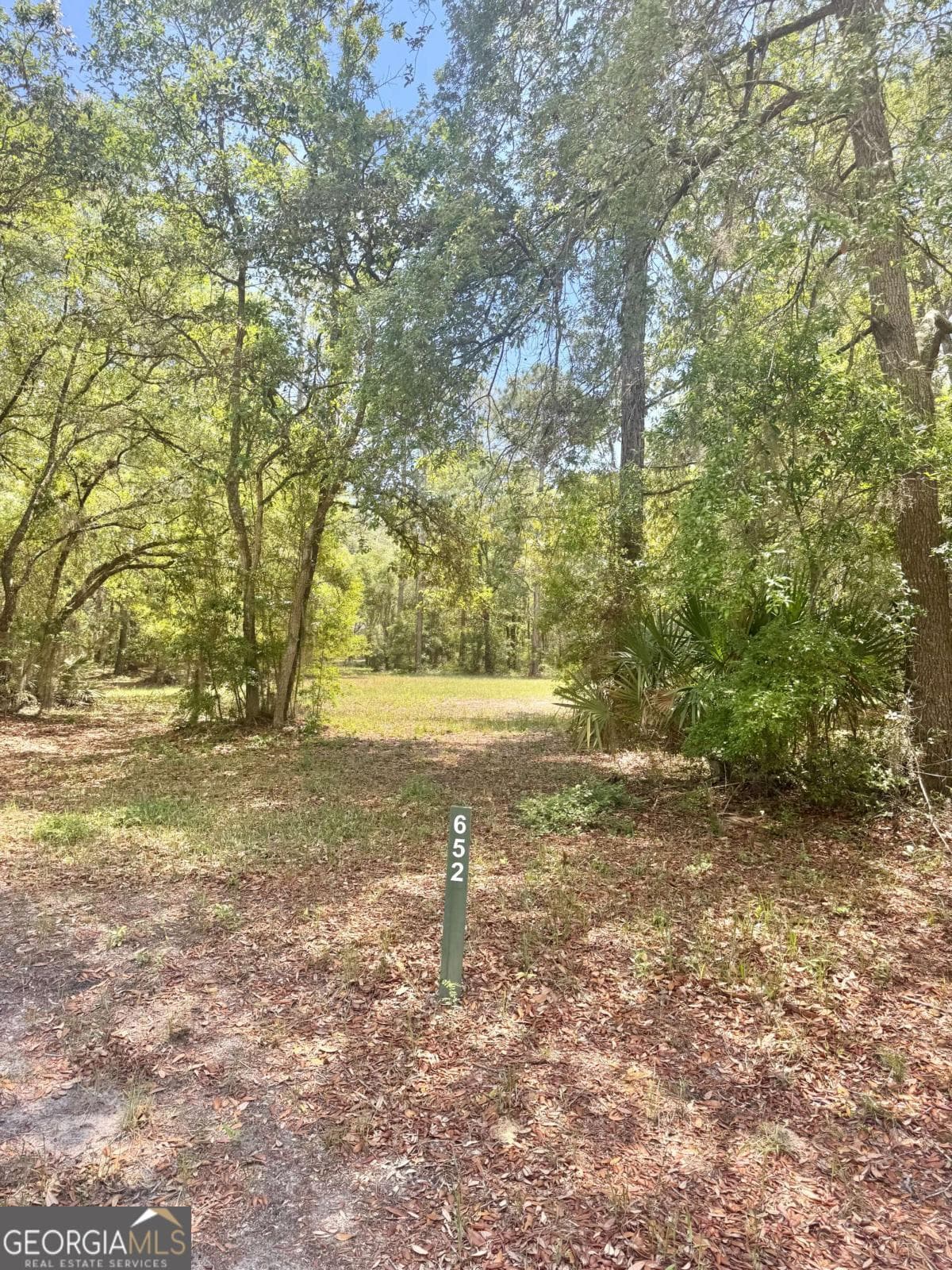 residential lot for sale at 652 Picnic Lane, Townsend, GA 31331 — photo 2