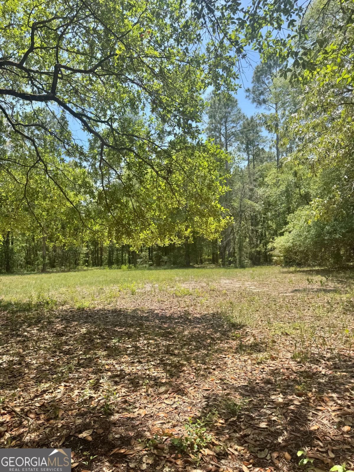 residential lot for sale at 652 Picnic Lane, Townsend, GA 31331 — photo 3