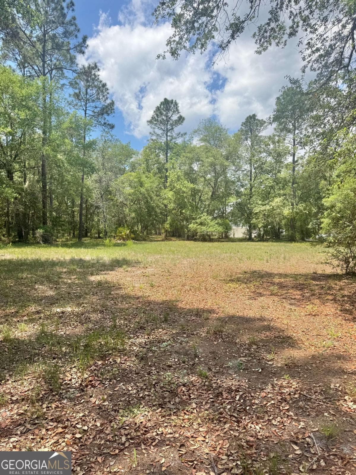 residential lot for sale at 652 Picnic Lane, Townsend, GA 31331 — photo 4
