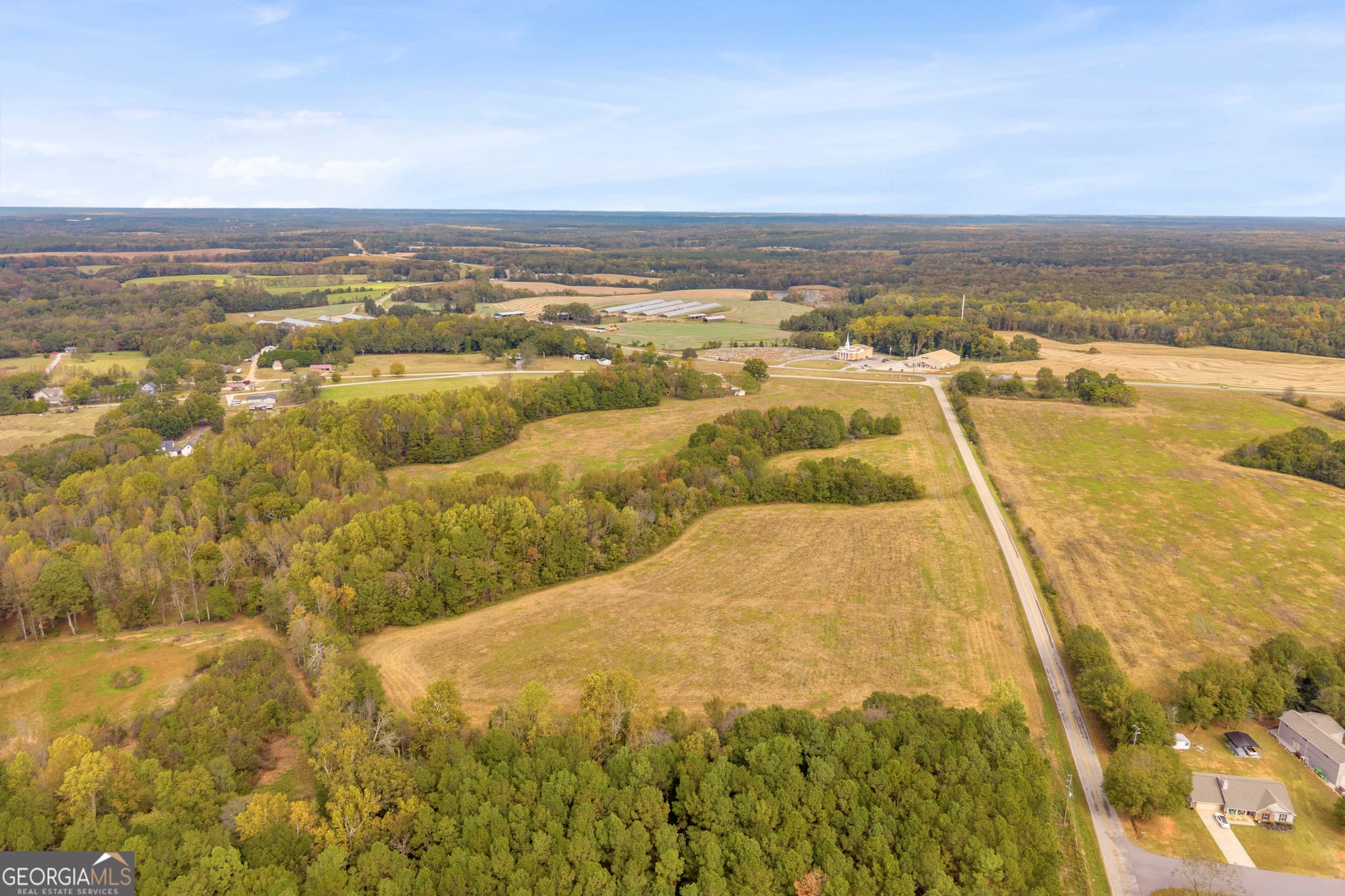 estate lot for sale at 0 Airline School Road TRACT 3, Bowersville, GA 30516 — photo 6