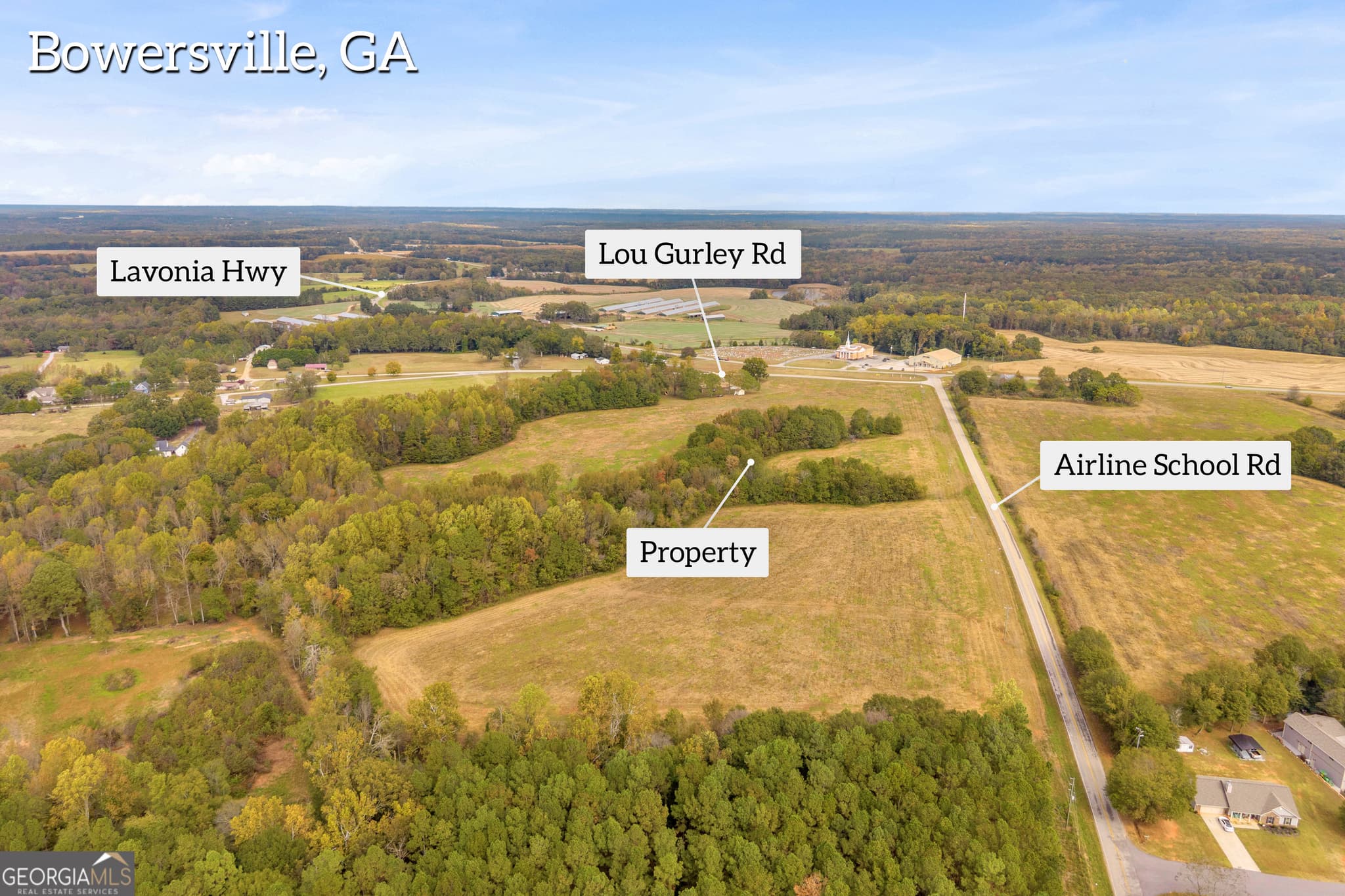 estate lot for sale at 0 Airline School Road TRACT 3, Bowersville, GA 30516 — photo 7