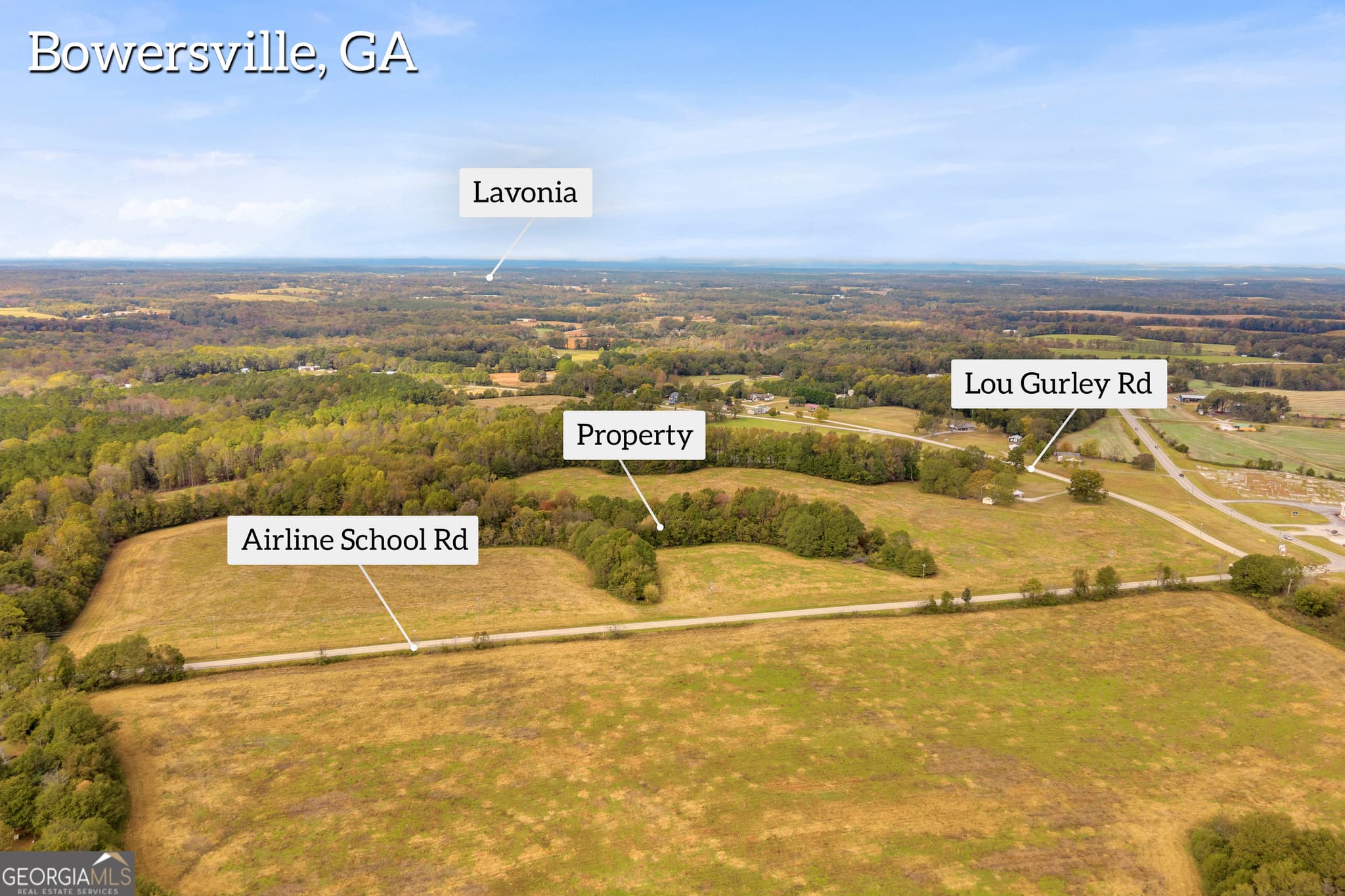 estate lot for sale at 0 Airline School Road TRACT 3, Bowersville, GA 30516 — photo 9