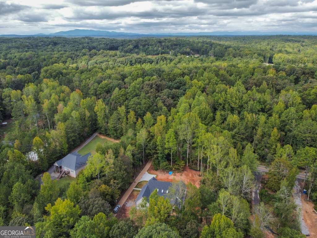 4 bedroom, 3.5 bathroom single family residence for sale at 7405 Nicholson Road, Cumming, GA 30028 — photo 10