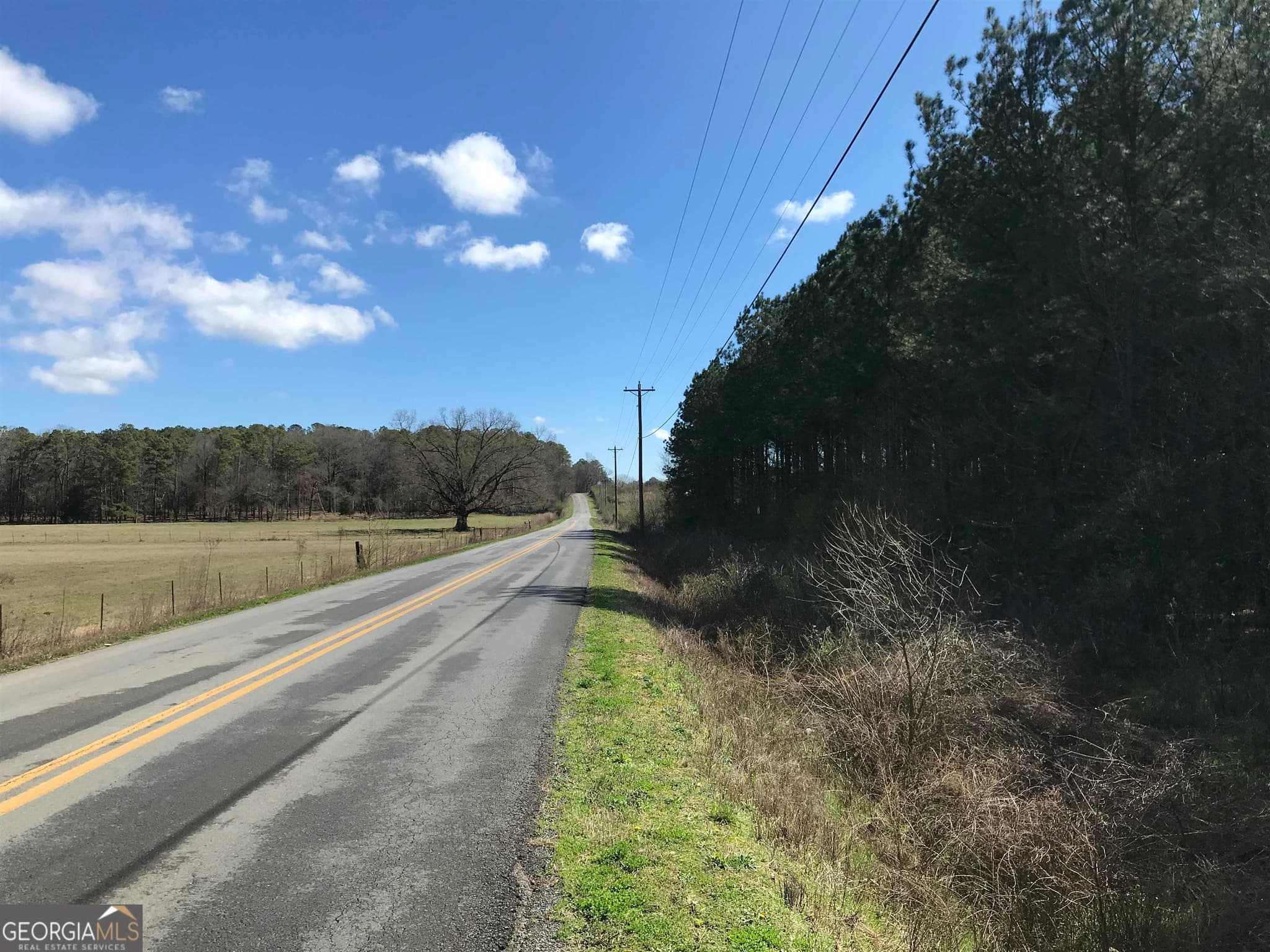 agriculture for sale at 0 Covington Bridge Road 9619, Calhoun, GA 30701 — photo 5