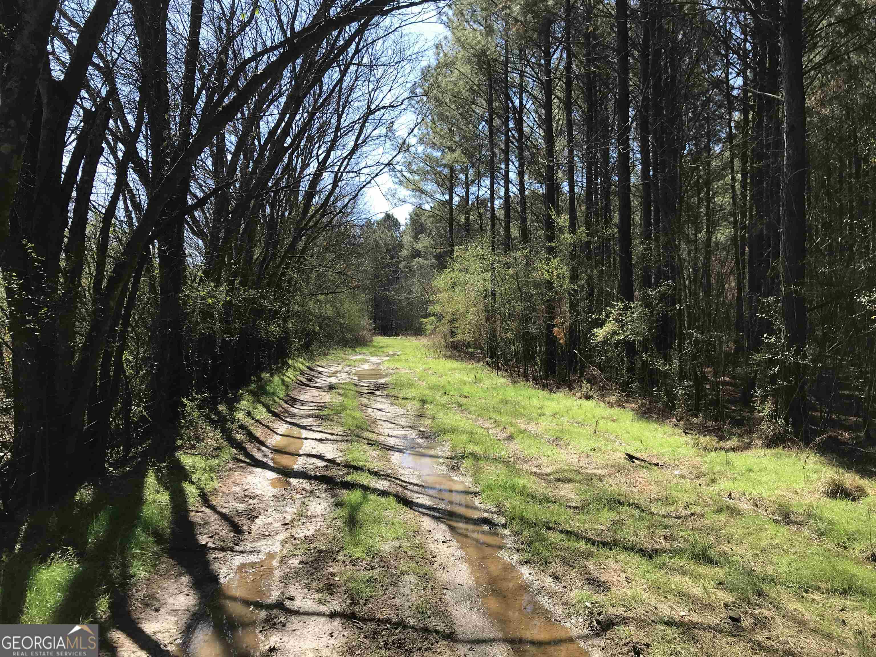agriculture for sale at 0 Covington Bridge Road 9619, Calhoun, GA 30701 — photo 9