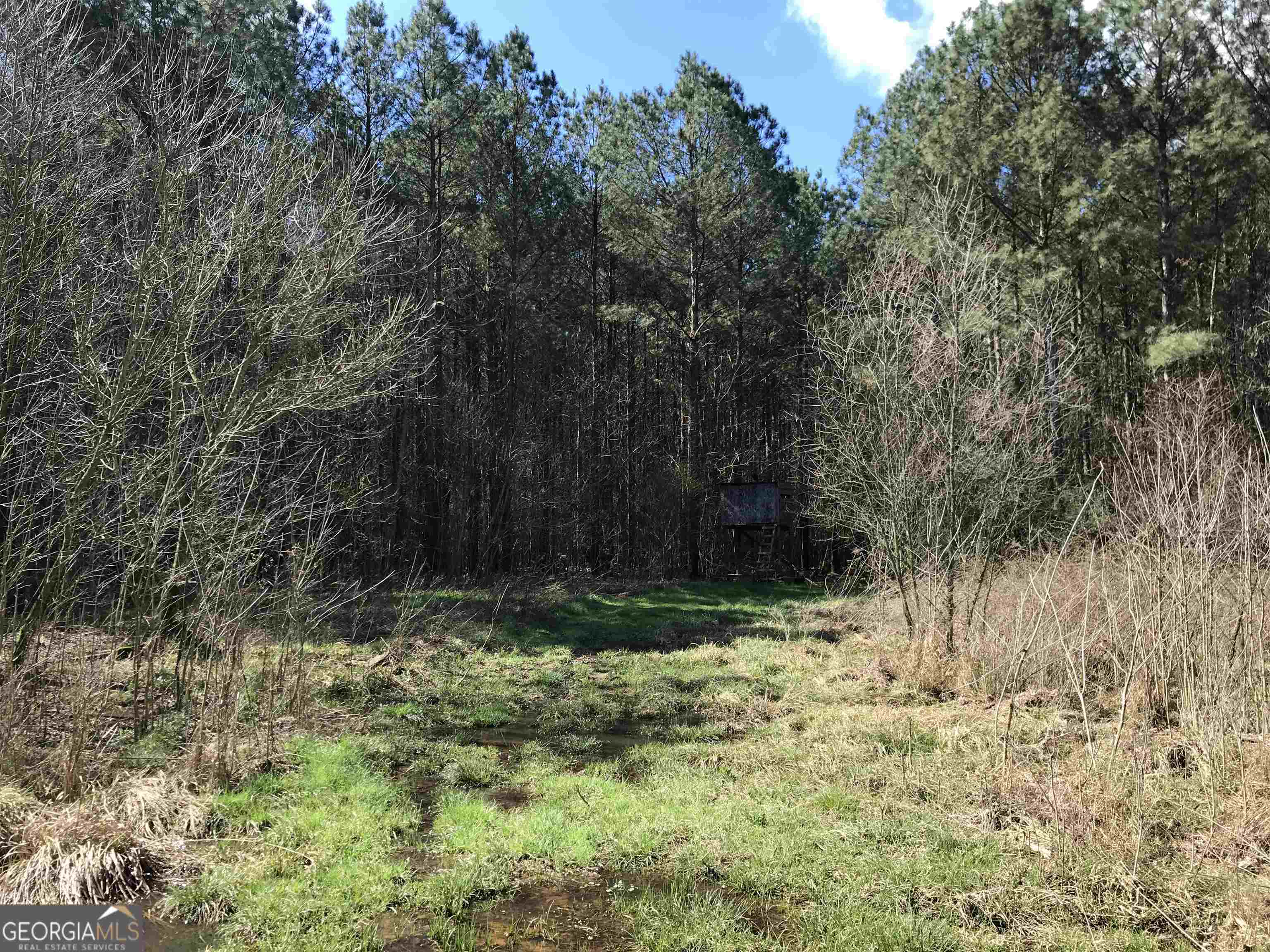 agriculture for sale at 0 Covington Bridge Road 9619, Calhoun, GA 30701 — photo 10