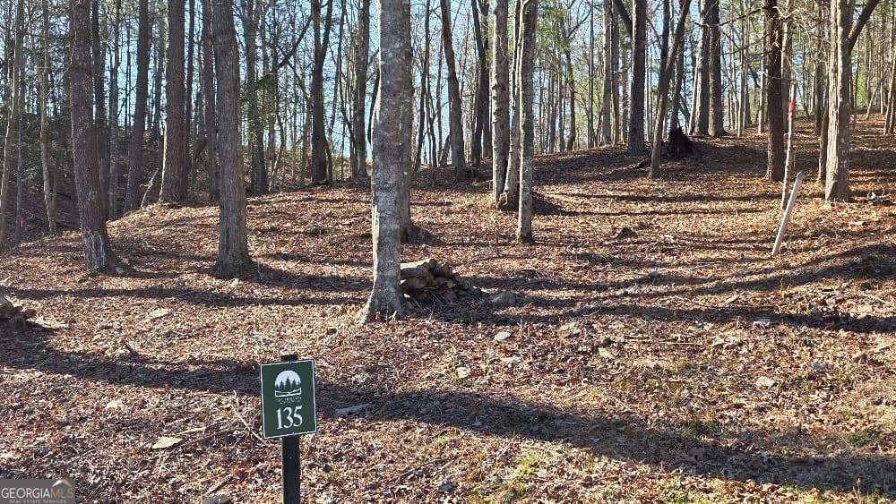 residential lot for sale at 135 Red Oak Trail, East Ellijay, GA 30540 — photo 2