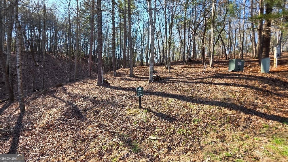 residential lot for sale at 135 Red Oak Trail, East Ellijay, GA 30540 — photo 3