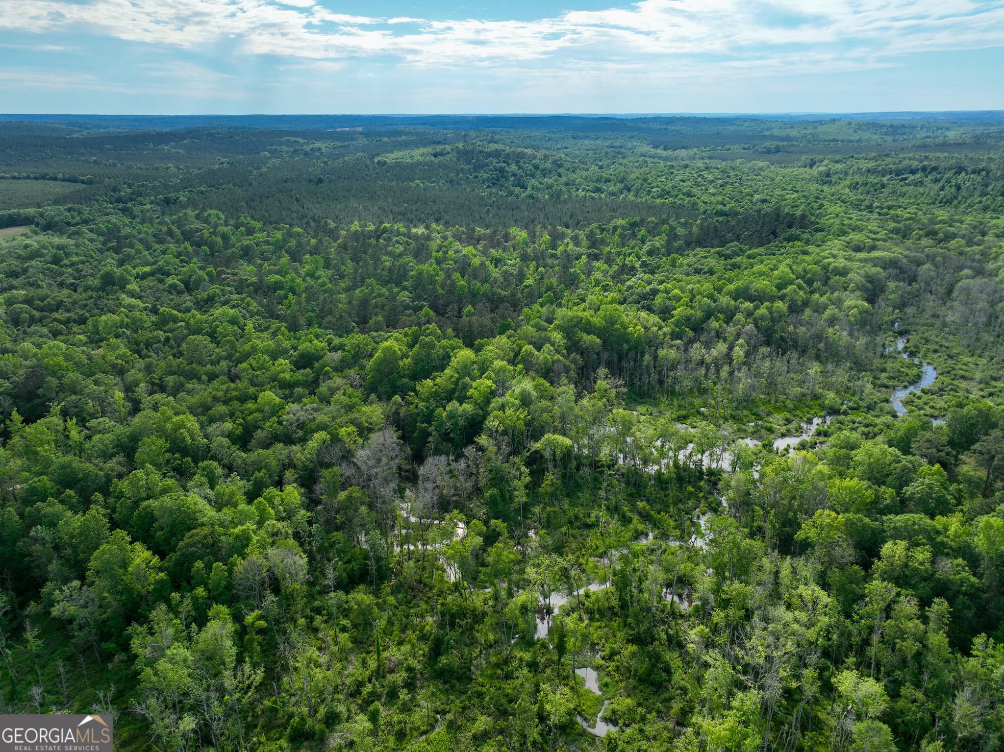 agriculture for sale at 6620 Jr Sims Road, Irwinton, GA 31042 — photo 2