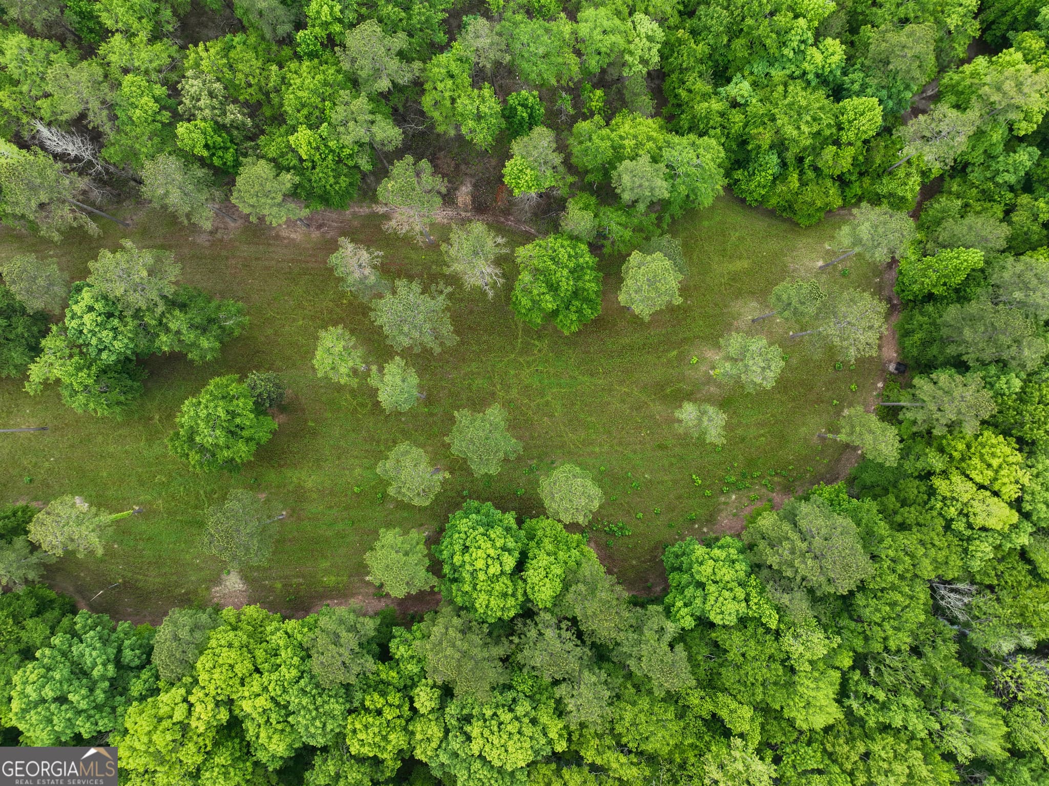 agriculture for sale at 6620 Jr Sims Road, Irwinton, GA 31042 — photo 6