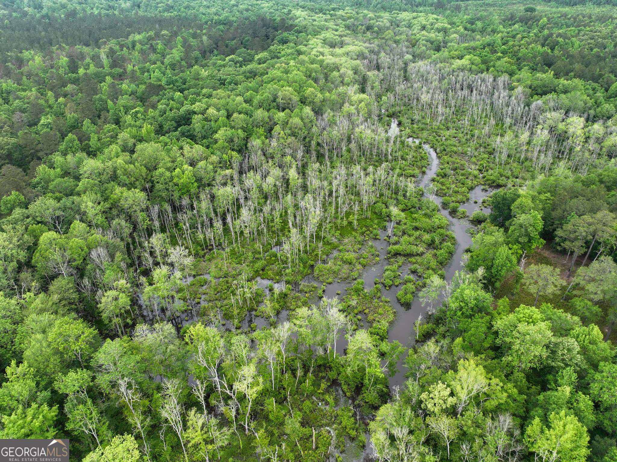 agriculture for sale at 6620 Jr Sims Road, Irwinton, GA 31042 — photo 3
