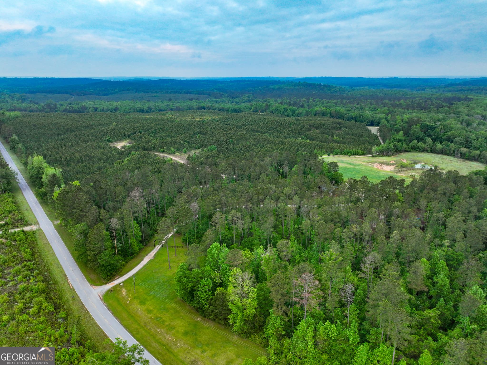 agriculture for sale at 6620 Jr Sims Road, Irwinton, GA 31042 — photo 1 of 83