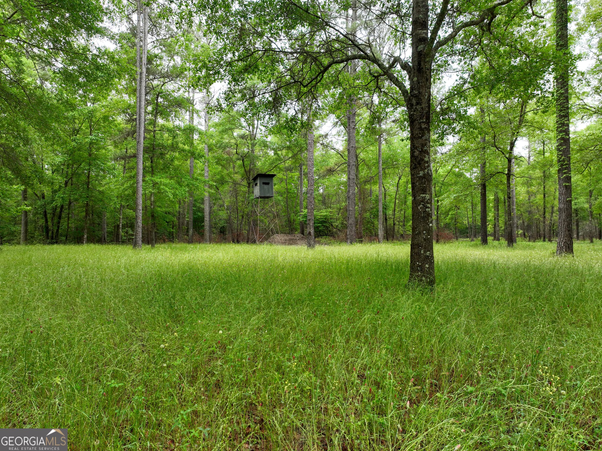 agriculture for sale at 6620 Jr Sims Road, Irwinton, GA 31042 — photo 9