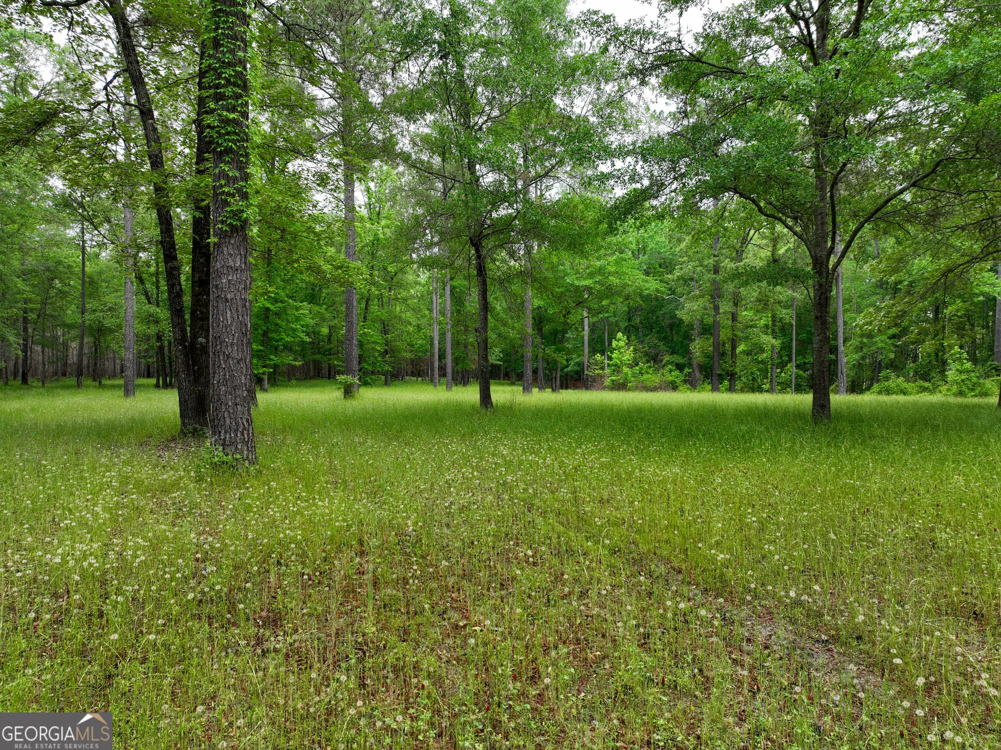 agriculture for sale at 6620 Jr Sims Road, Irwinton, GA 31042 — photo 10
