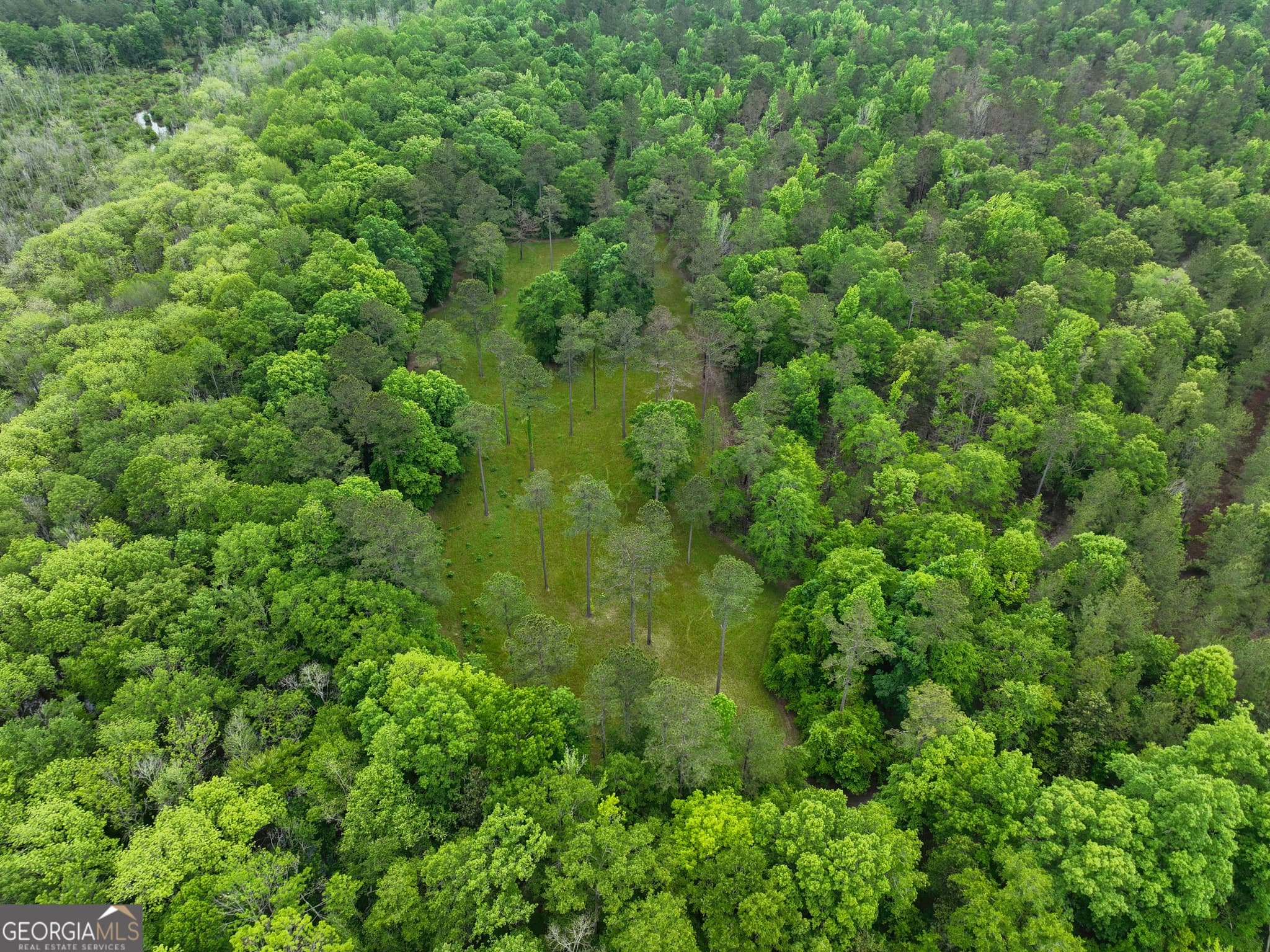 agriculture for sale at 6620 Jr Sims Road, Irwinton, GA 31042 — photo 4