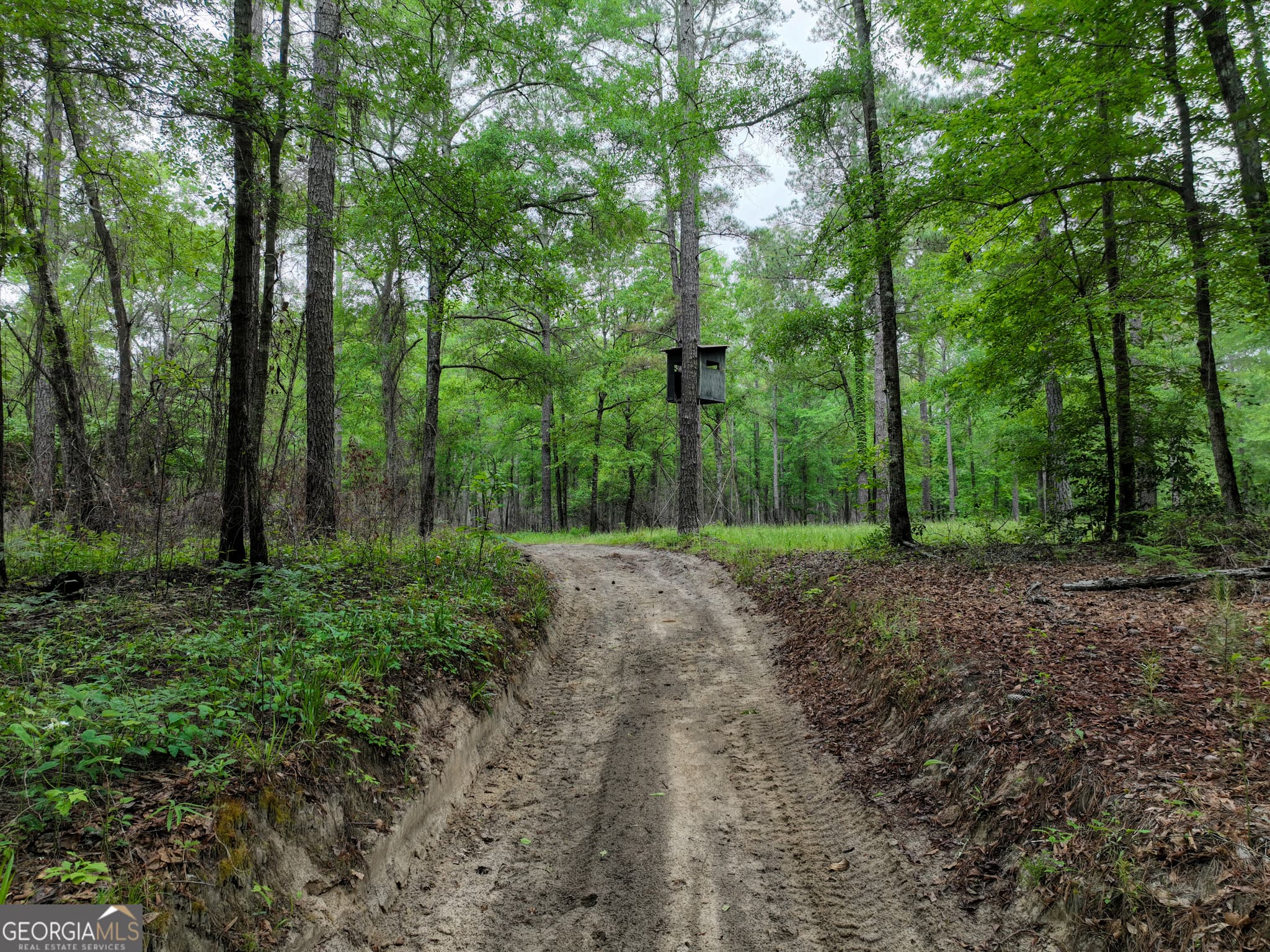 agriculture for sale at 6620 Jr Sims Road, Irwinton, GA 31042 — photo 8
