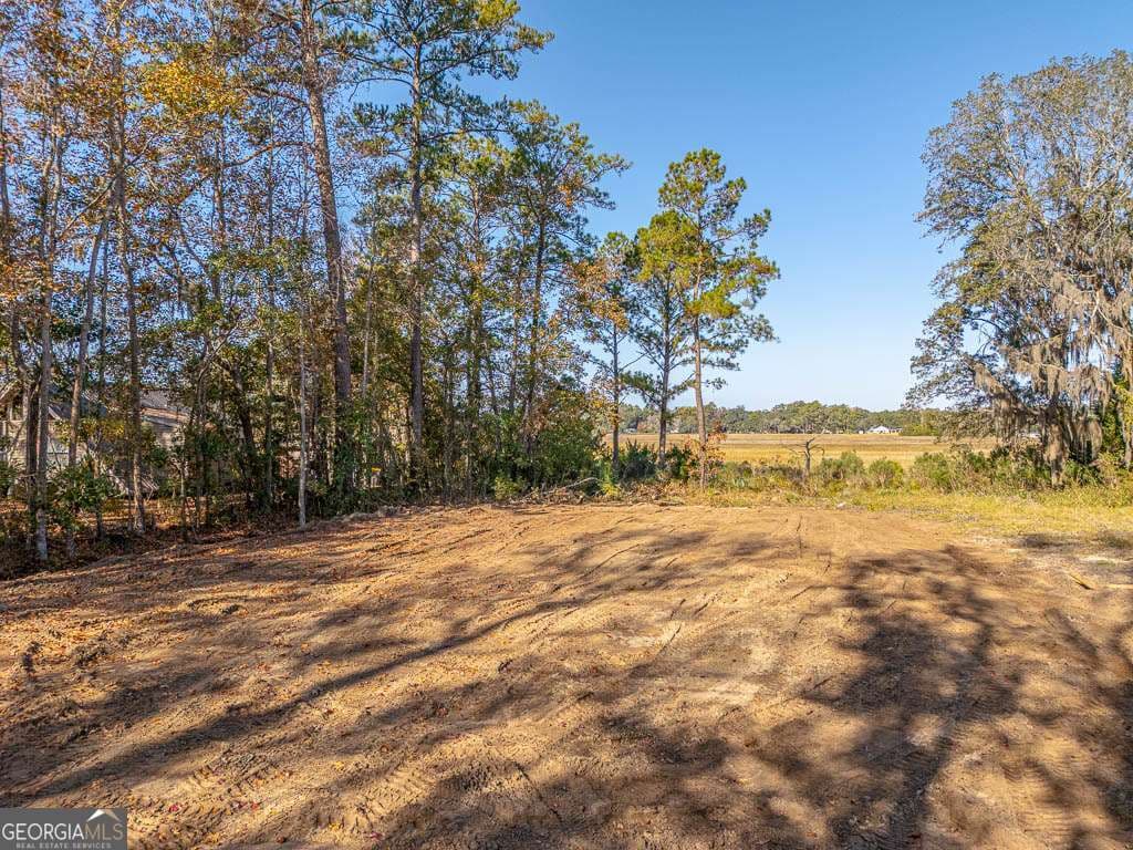 residential lot for sale at 1114 NE Neal Boulevard, Townsend, GA 31331 — photo 2