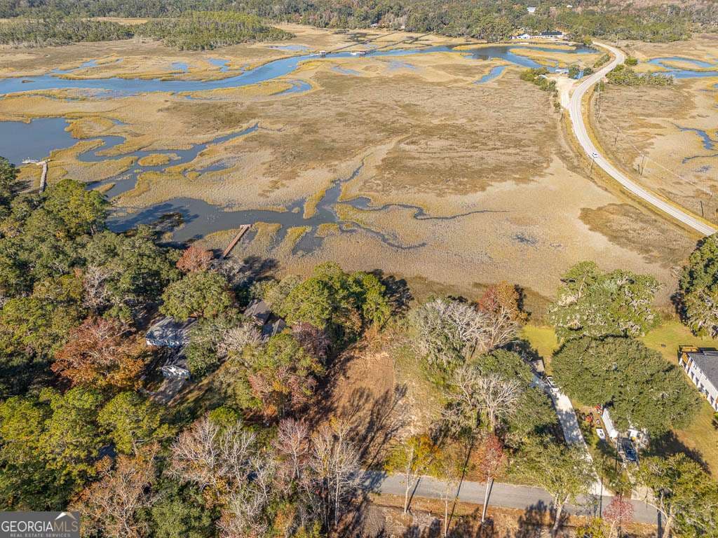 residential lot for sale at 1114 NE Neal Boulevard, Townsend, GA 31331 — photo 6
