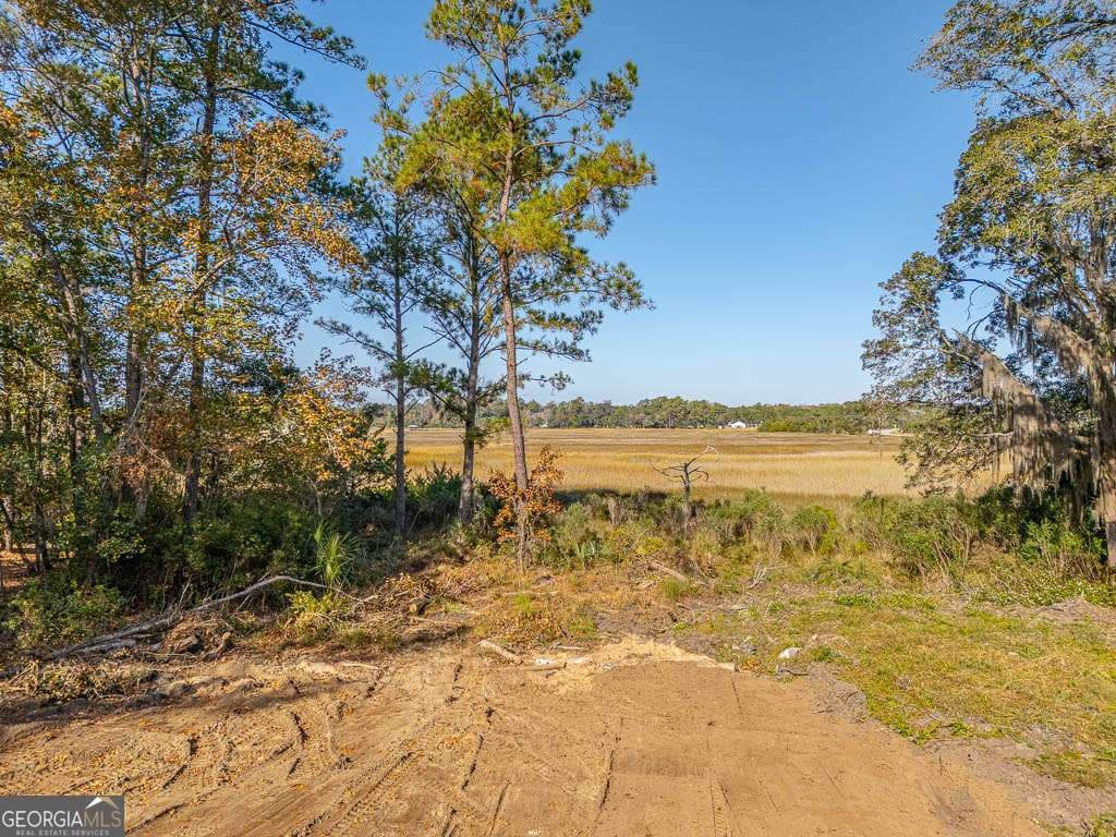 residential lot for sale at 1114 NE Neal Boulevard, Townsend, GA 31331 — photo 3