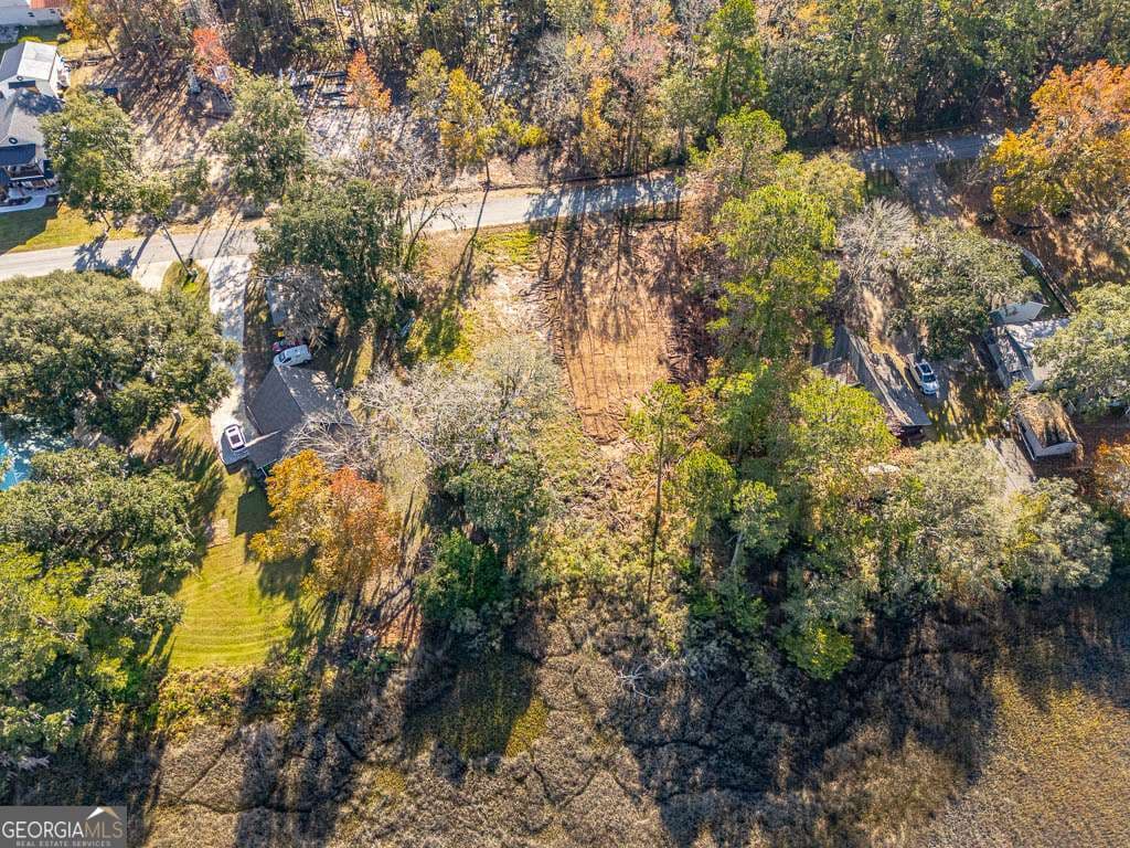 residential lot for sale at 1114 NE Neal Boulevard, Townsend, GA 31331 — photo 5