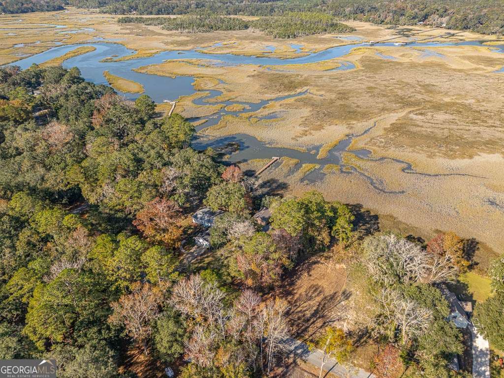 residential lot for sale at 1114 NE Neal Boulevard, Townsend, GA 31331 — photo 4