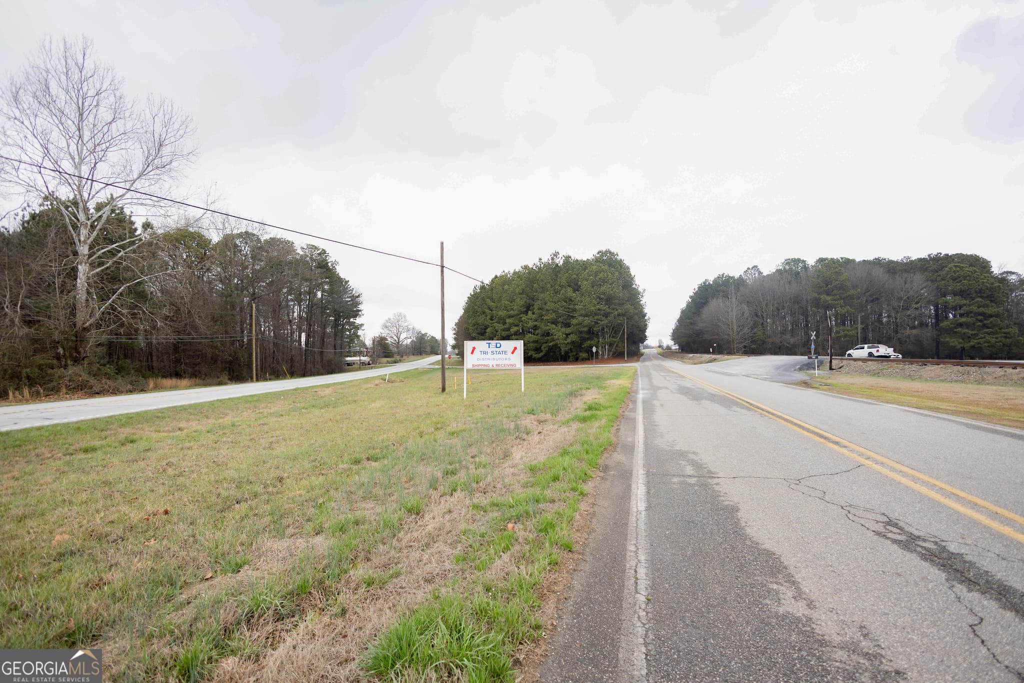 commercial for sale at 0 Hwy 17, Royston, GA 30662 — photo 4
