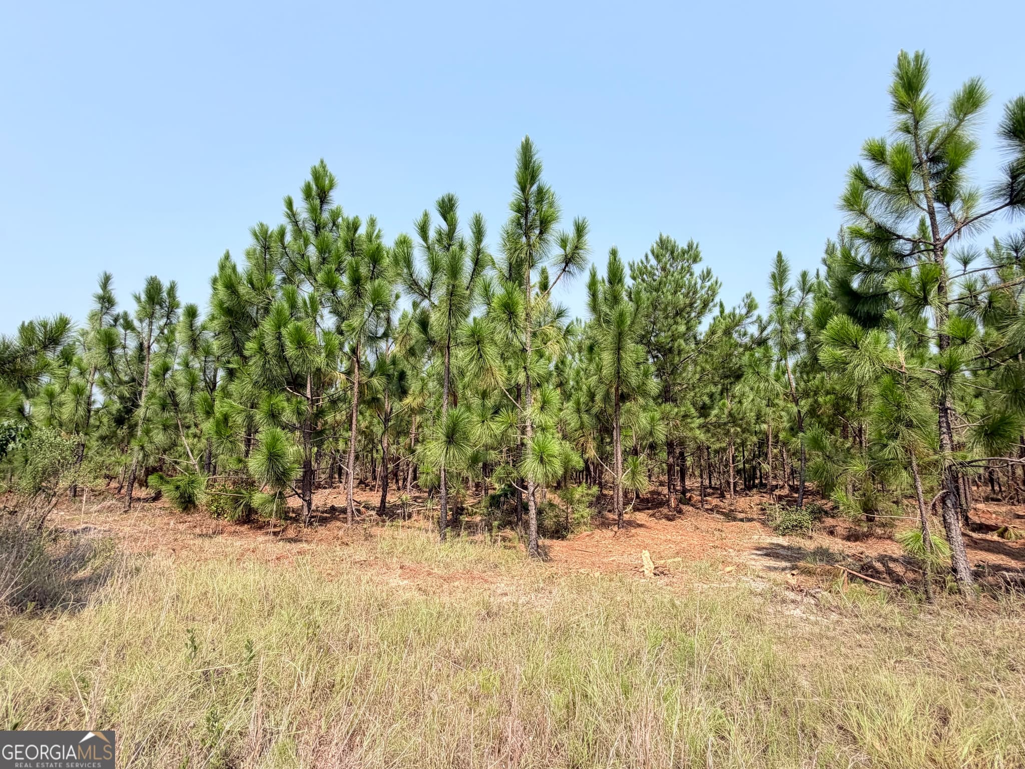 residential lot for sale at 0 Erick Road, Alamo, GA 30411 — photo 2