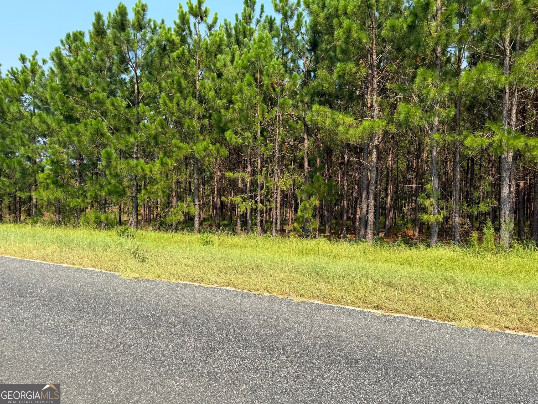 residential lot for sale at 0 Erick Road, Alamo, GA 30411 — photo 6