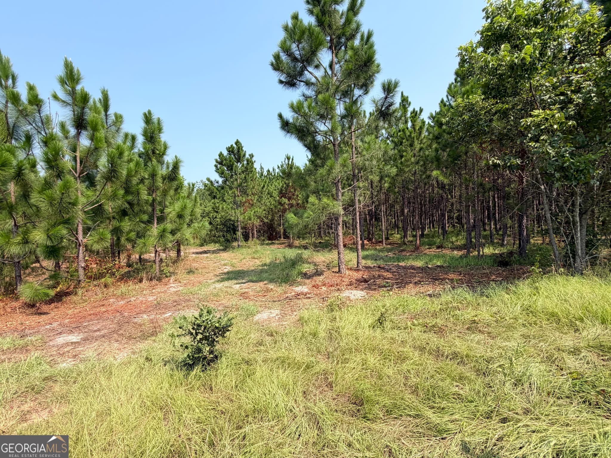 residential lot for sale at 0 Erick Road, Alamo, GA 30411 — photo 3
