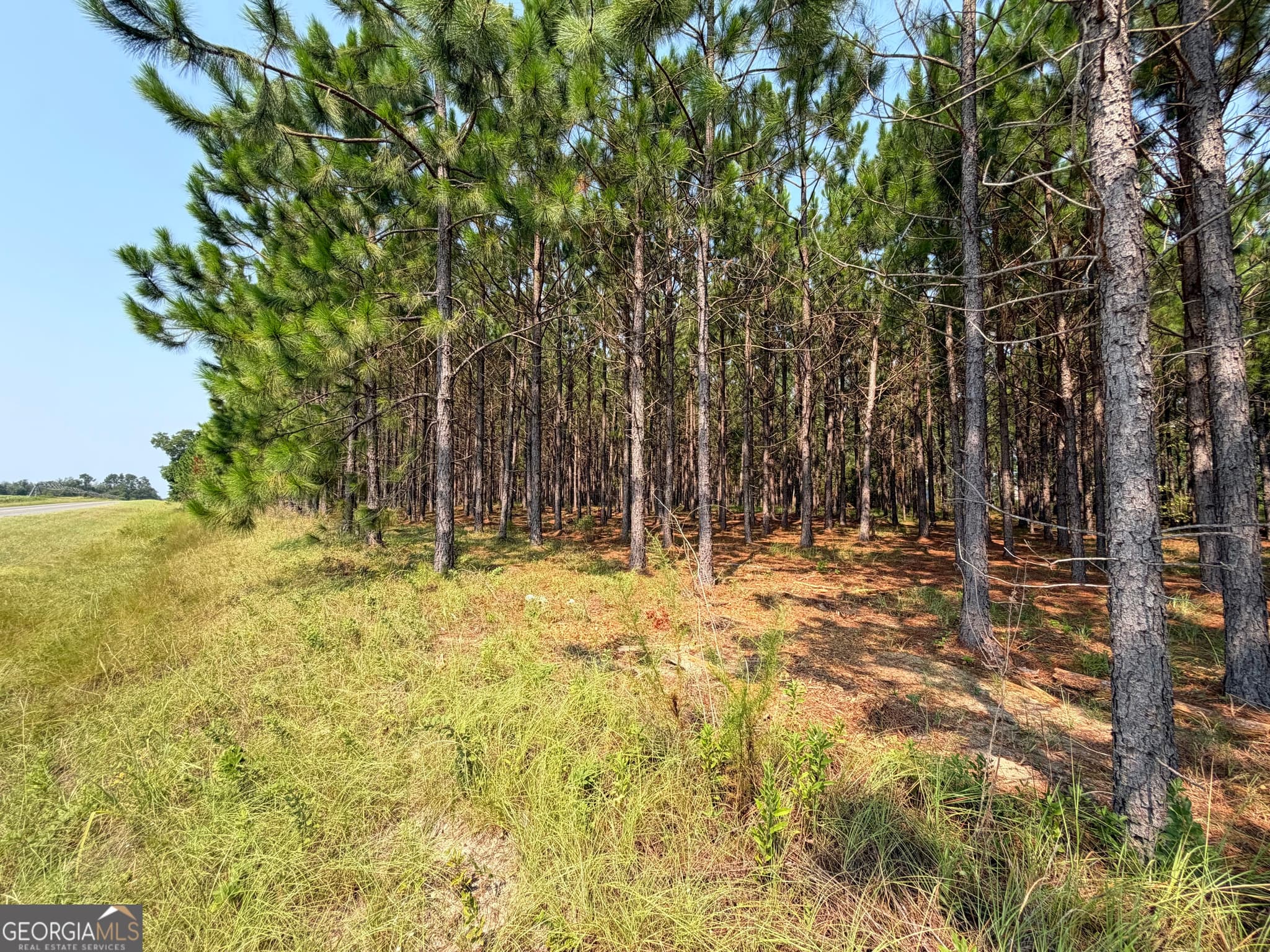 residential lot for sale at 0 Erick Road, Alamo, GA 30411 — photo 5