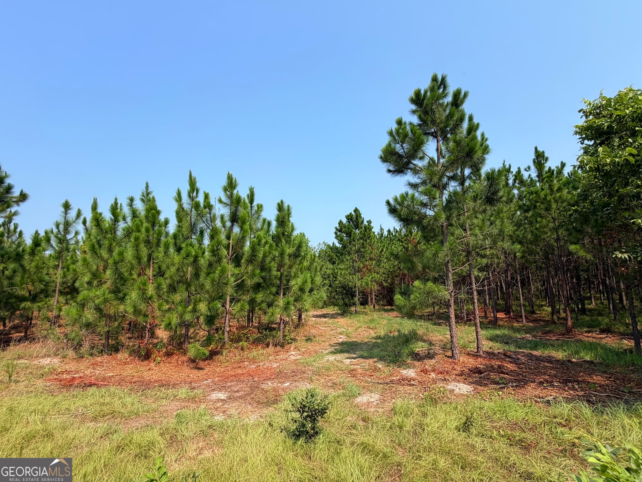 residential lot for sale at 0 Erick Road, Alamo, GA 30411 — photo 4